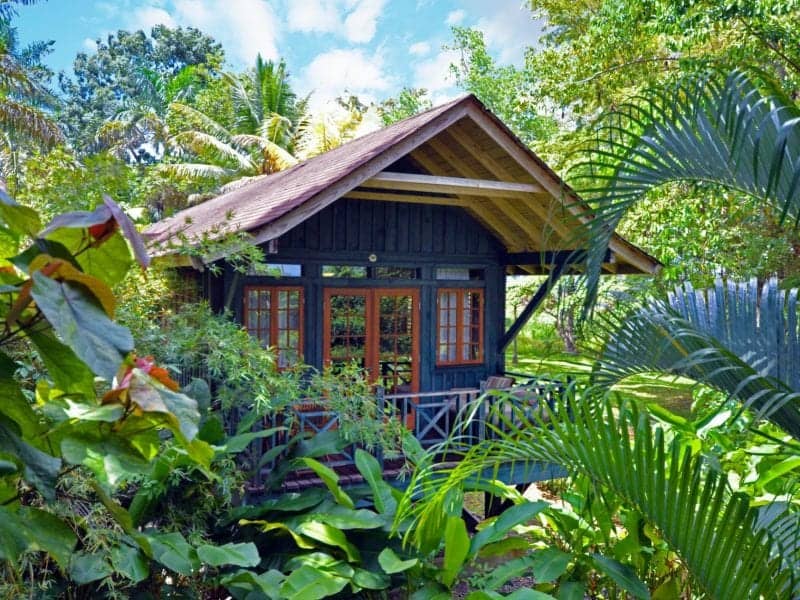 Tree house at Sunset on the Palms - Jamaica