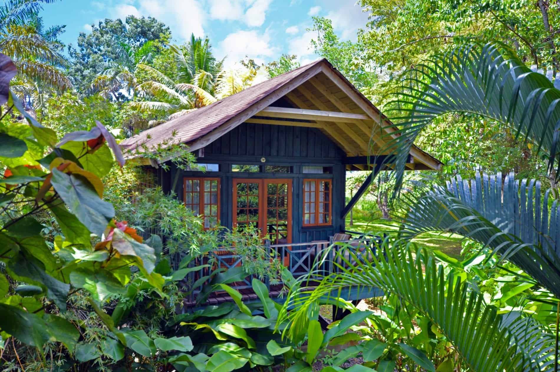 Tree house at Sunset on the Palms - Jamaica