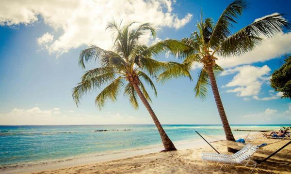 Sugar Bay, Barbados