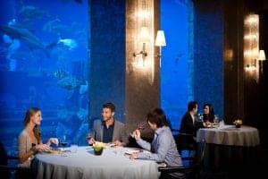 Dubai holiday deals - Atlantis Hotel the Palm