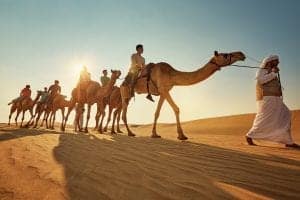 camel riding - Abu Dhabi