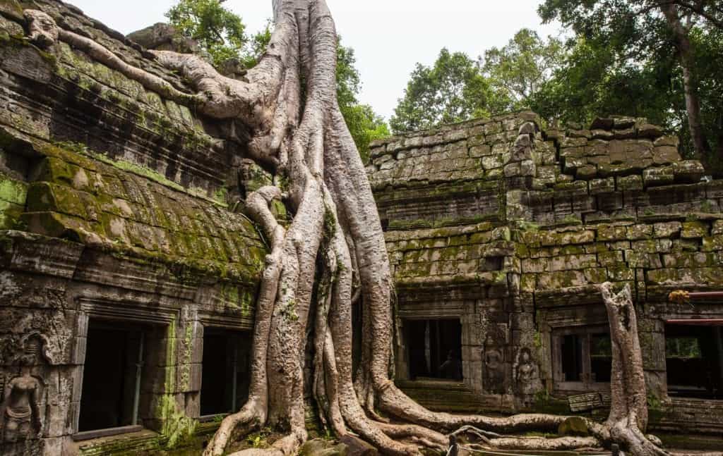 Cambodia - Ankor Wat - Siem Reap