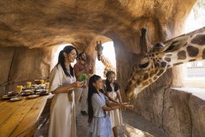 Enjoy a meal with the Giraffes @ Emirates Park Zoo