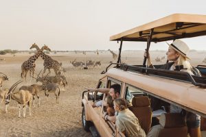 Abu dhabi 4x4 wildlife safari tour Arabian Wildlife Park, Sir Bani Yas Island